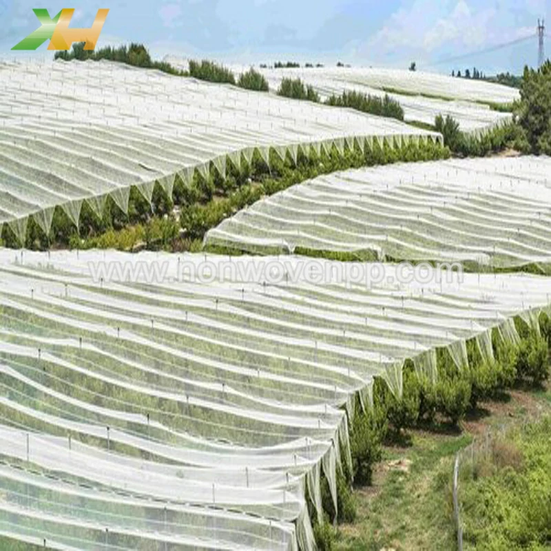 polypropylene non woven fabric